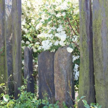 Piquet de vigne ardoise et schiste