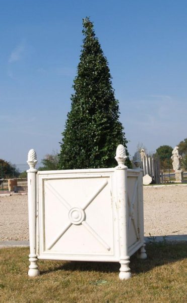 jardiniere