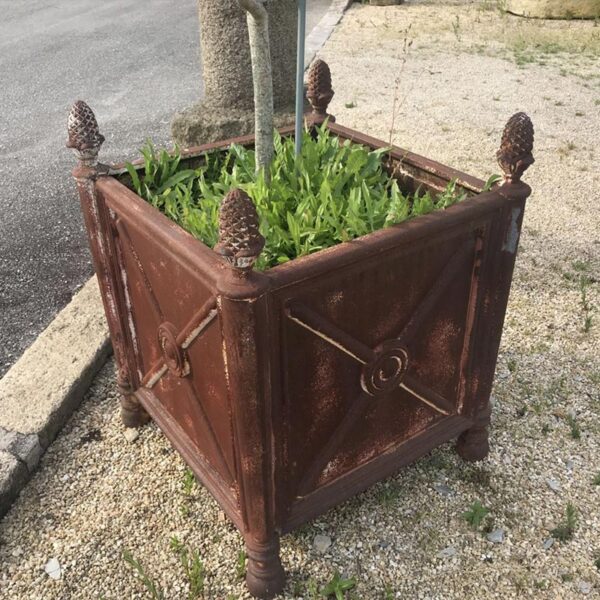 Jardinière pot à fleur ou plante en fonte