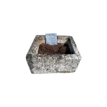 petite auge ancienne pour planter des fleurs