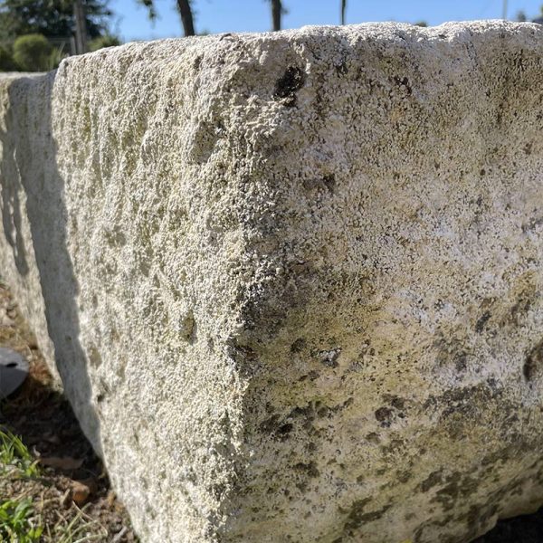 Auge en pierre calcaire