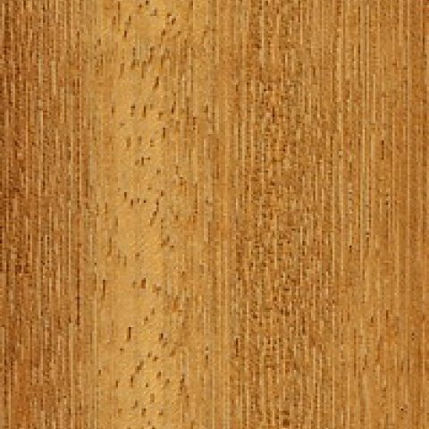 Essence de bois iroko