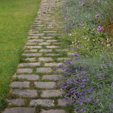 Pavés Napoléon posés pour allée de jardin avec joint en gazon